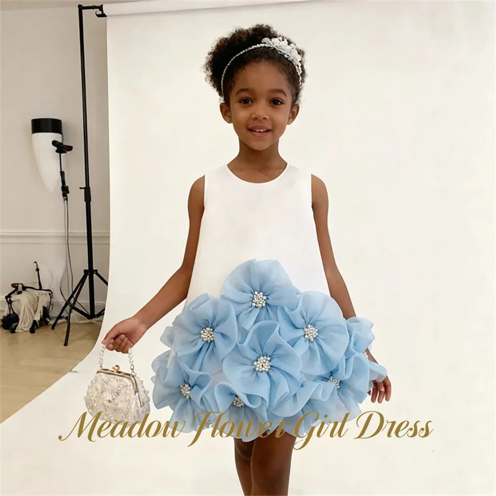 Meadow Floral with Pearls First Communion Gown Mini Girls Princess Dress Round Neck Evening Party Dress for Girls Customized