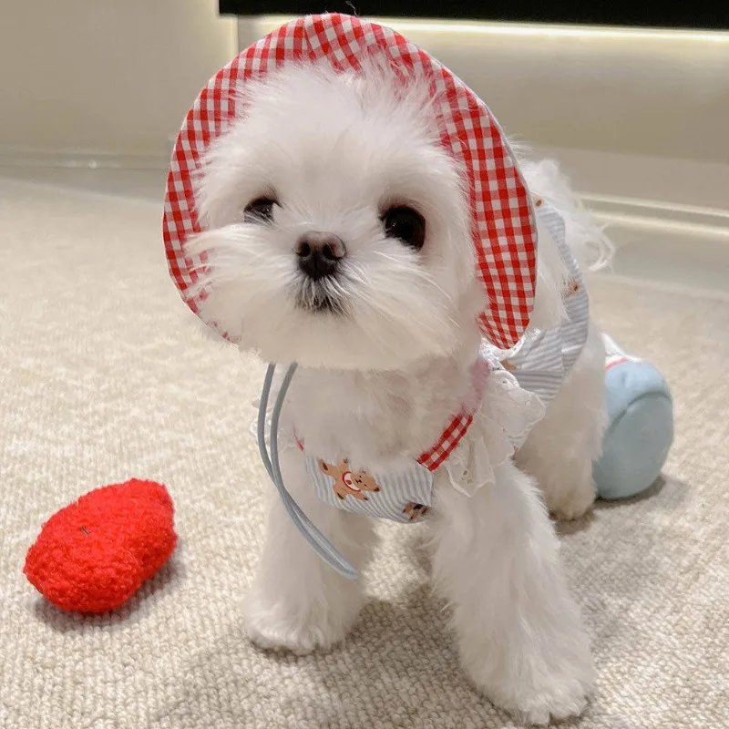 Pet Clothes Cat Bubble Skirt Pumpkin Dress Spring Summer Small Dog Clothes