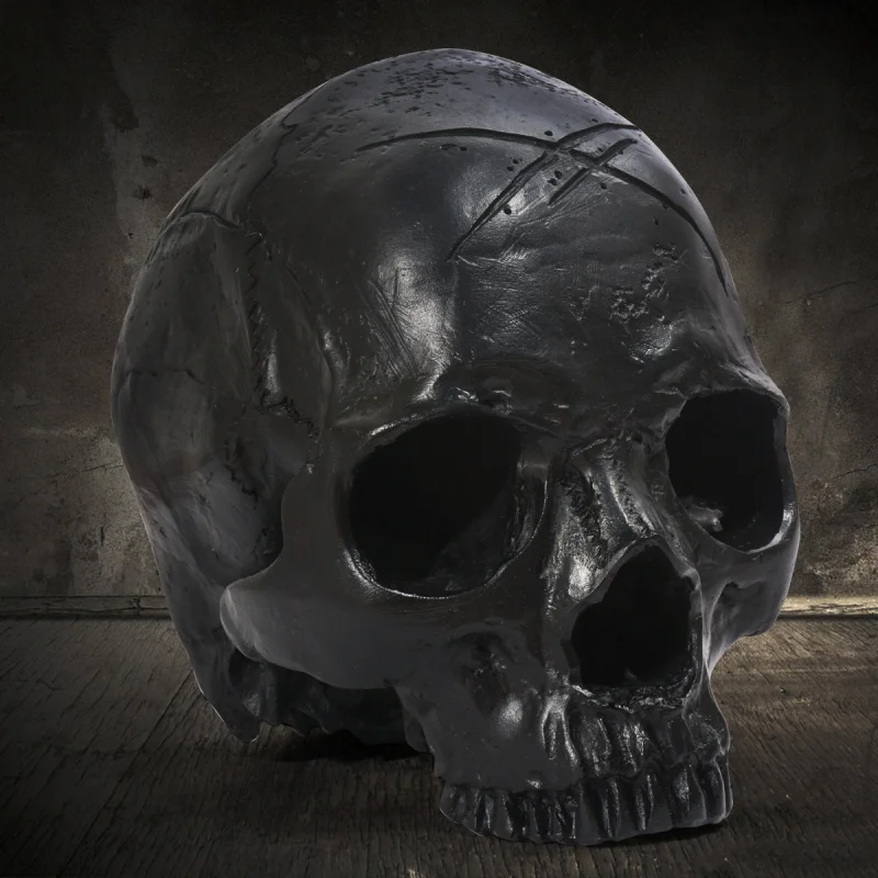 Resin Crafts Model Teaching Supplies Animal Skull Halloween Props Masquerade