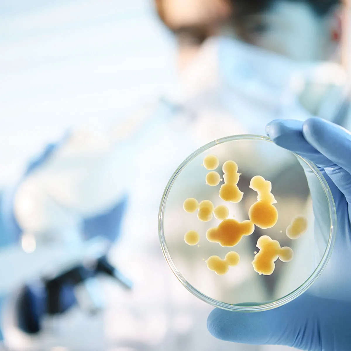 

4Pcs High Temperature Resistant Watch Glass Thickened Multifunctional Lab Equipment Durable Corrosion Resistant Transparent