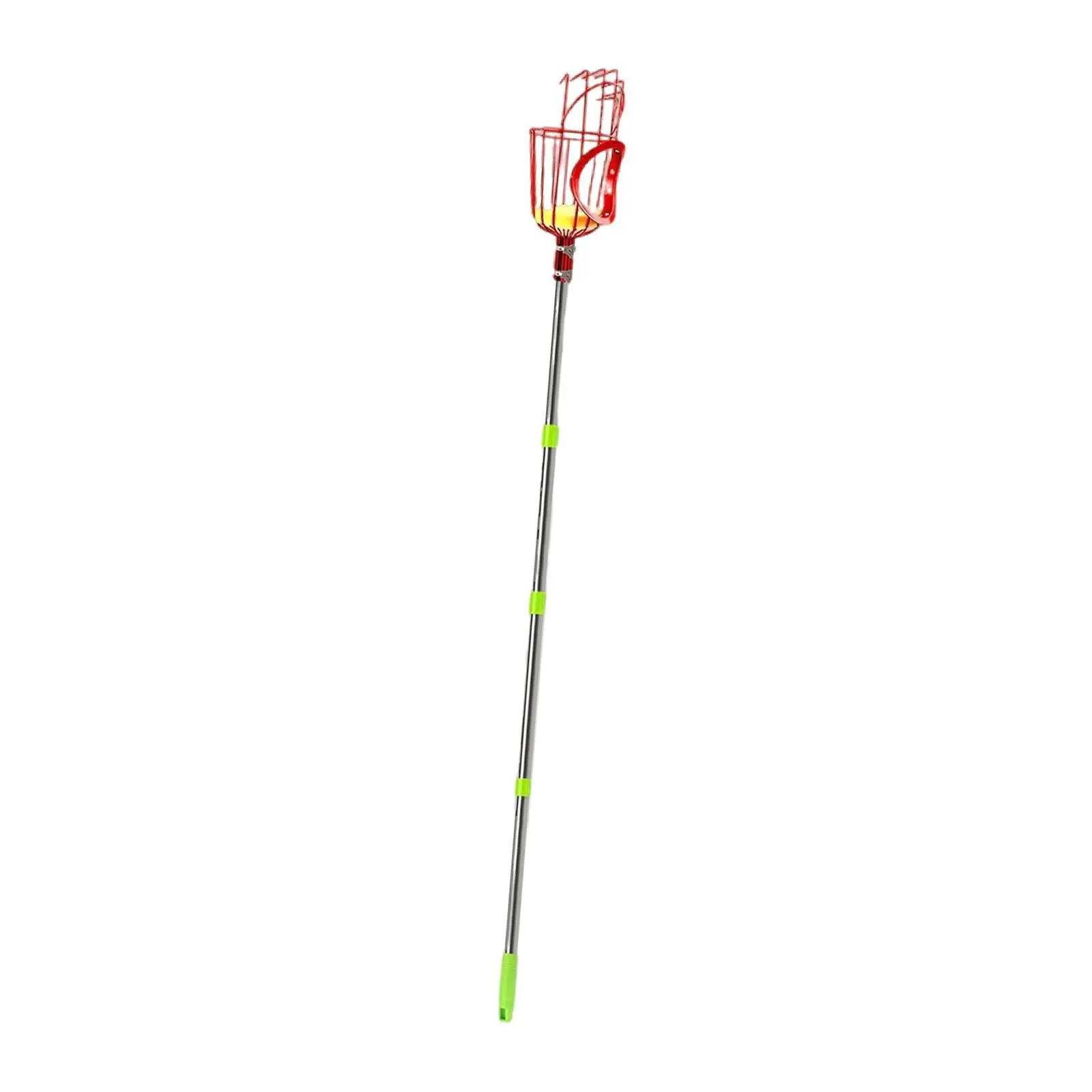 

Picker Pole with Basket Lightweight Tree Picker for Avocado Orange Pear