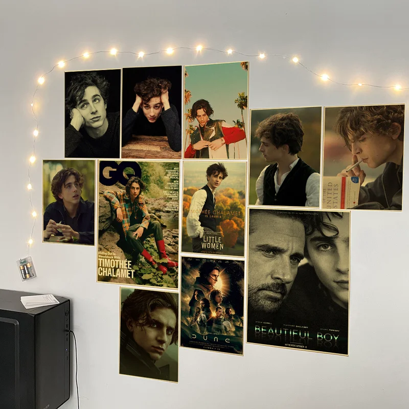 Timothee Chalamet rétro toile - Home Bar And Theater avis et prix