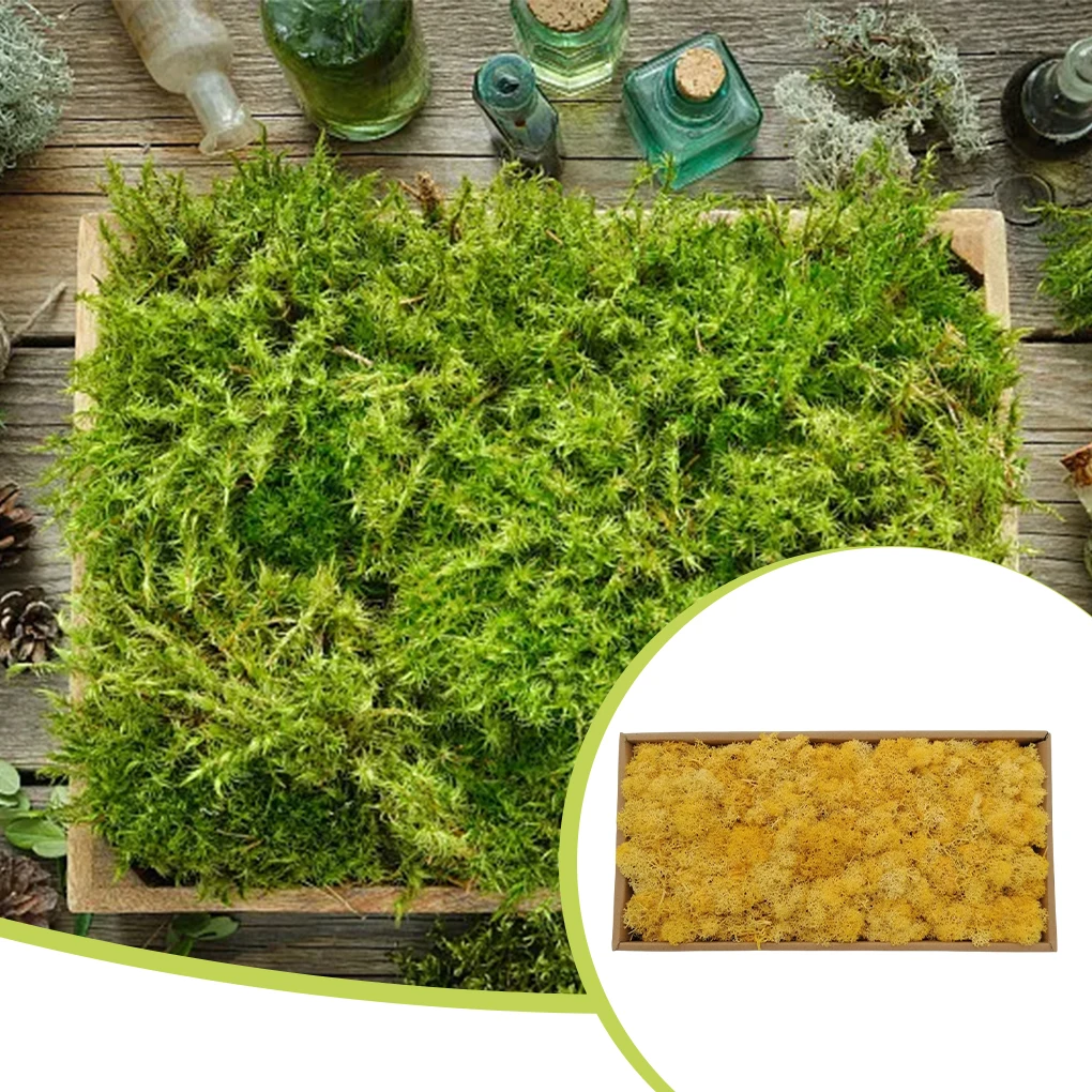 Preserved Flower Artificial Moss Decorative Solid Color Realistic Lichen