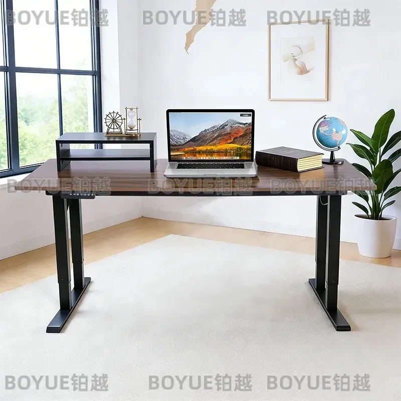 Electric Standing Desk Dual Motor Height Adjustable Metal Frame Sit Stand Workstation Ergonomic Computer Table for Home
