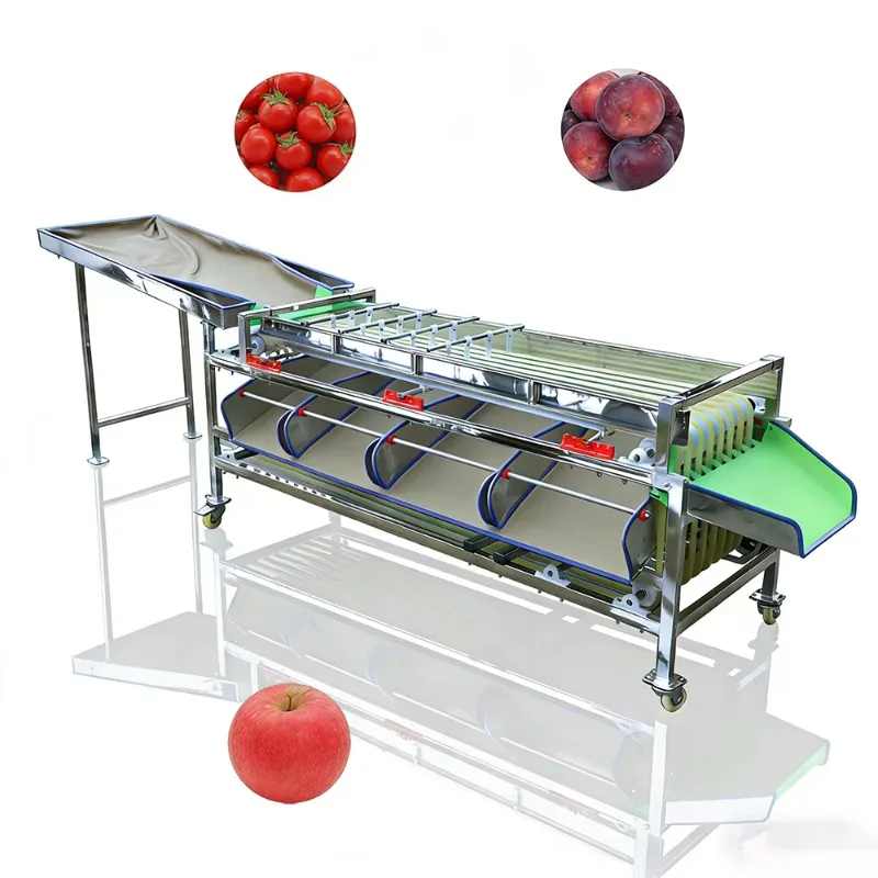 Automatic Fruit Size Sorter Roller Grader for Garlic and Mango Grading Machine Farm Use