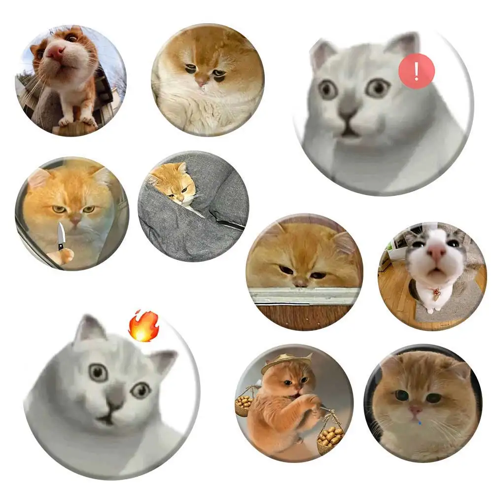 

Металлическая брошь-значок 58 мм с забавными мемами кошек, круглая, на защелке, для сумок, шляп, рюкзаков, одежды – модный аксессуар, подарок, игрушка