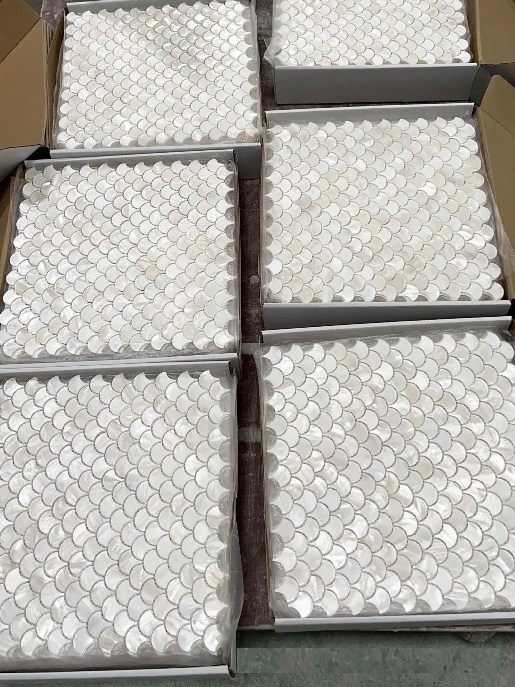 fo-Israel Client 8Pcs Fish Scale Fan-Shaped White Natural Shell Mosaic Tiles Waterproof High-End Wall Art Decorative Materials