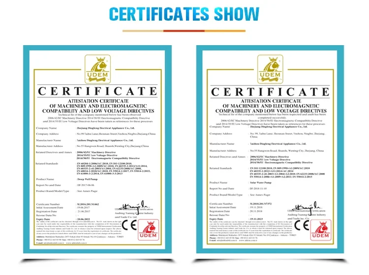 3 Inch 80m 1100W Borehole Solar Water Pump System for Kenya Market - Efficient Off-Grid Water Supply Solution