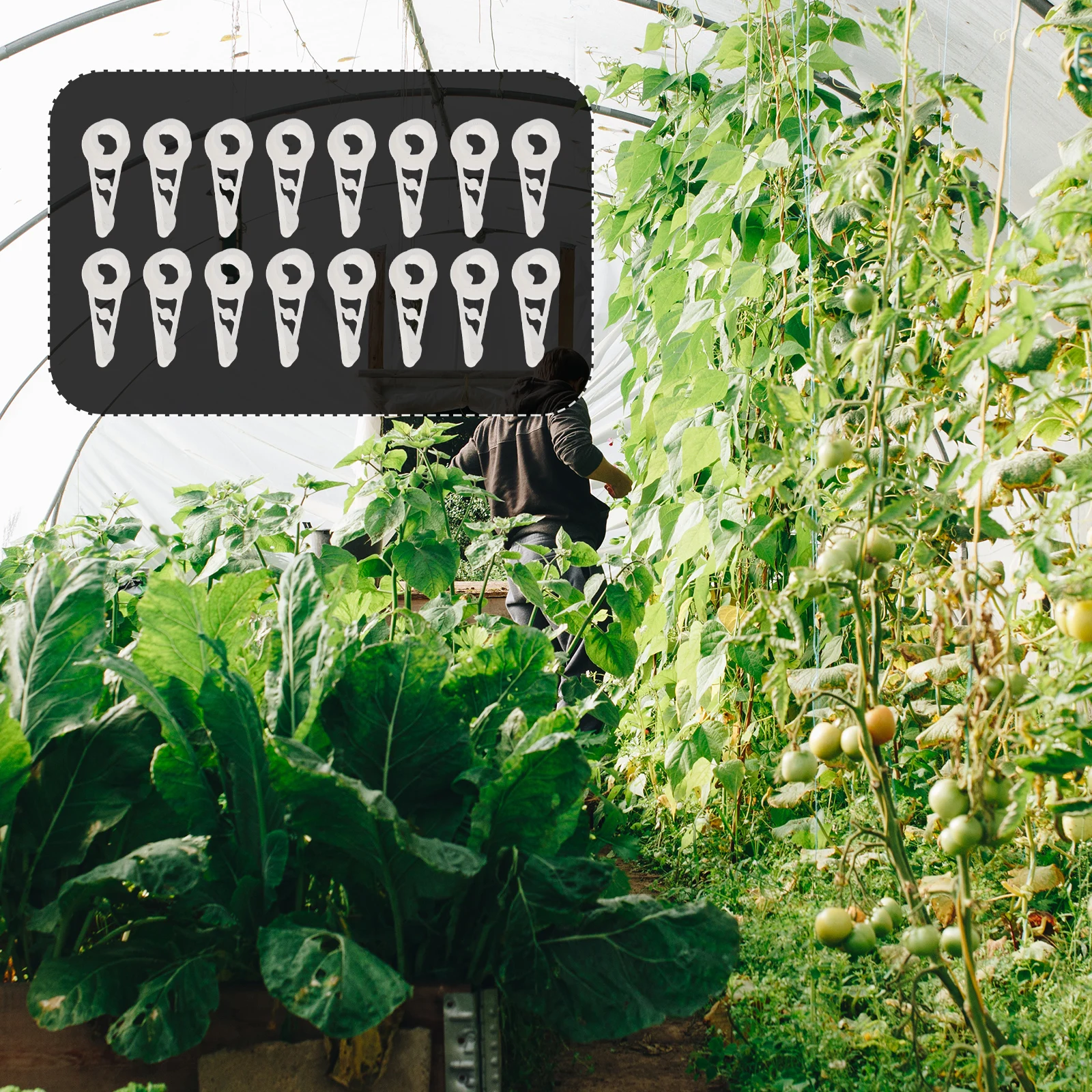 

20 Pcs Bender Plant Bending Clips Branch Benders White Clamps for Horticulture Plant Training Flower Bending Reusable Tags
