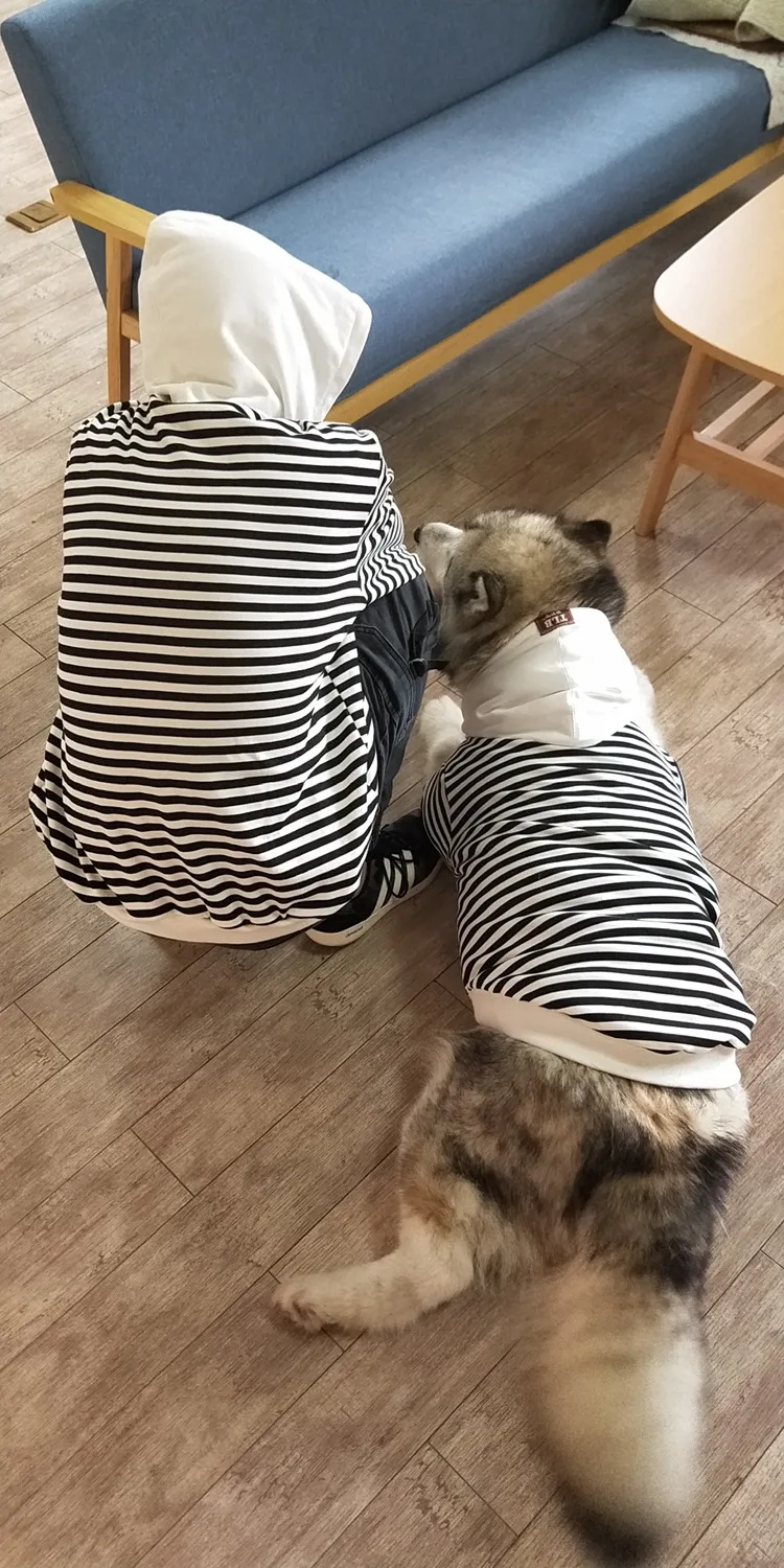 Vêtements assortis pour propriétaires d'animaux de compagnie, vêtements polaires pour animaux de compagnie, à capuche, parent-enfant, à rayures, Teddy français, petit chien et chat