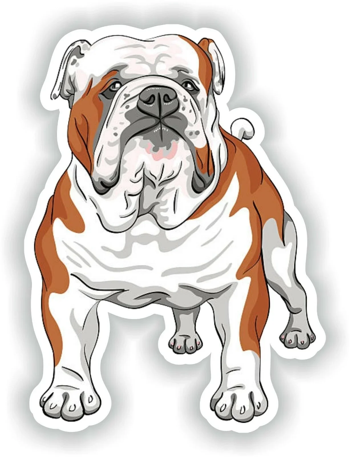 

For Bulldog English Sticker for Bumper Truck Laptop Luggage Suitcase Tablet