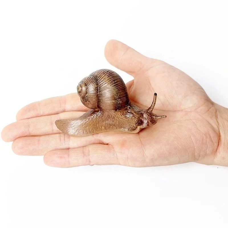 Realistic Resin Snail Animal Model Kawaii Creative Snail Model Outdoor Life Cycle of Snail Diagram Miniature Garden Decoration