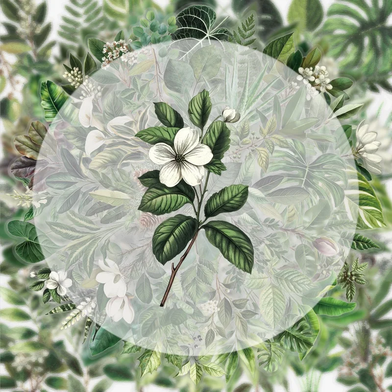 50 Vintage Green Leaf Stickers, Vibrant Sticker Decals, Multiple Styles Without Duplication, Suitable for Water Bottles, Laptops, Suitcases, Skateboards, Guitars, Party Decorations