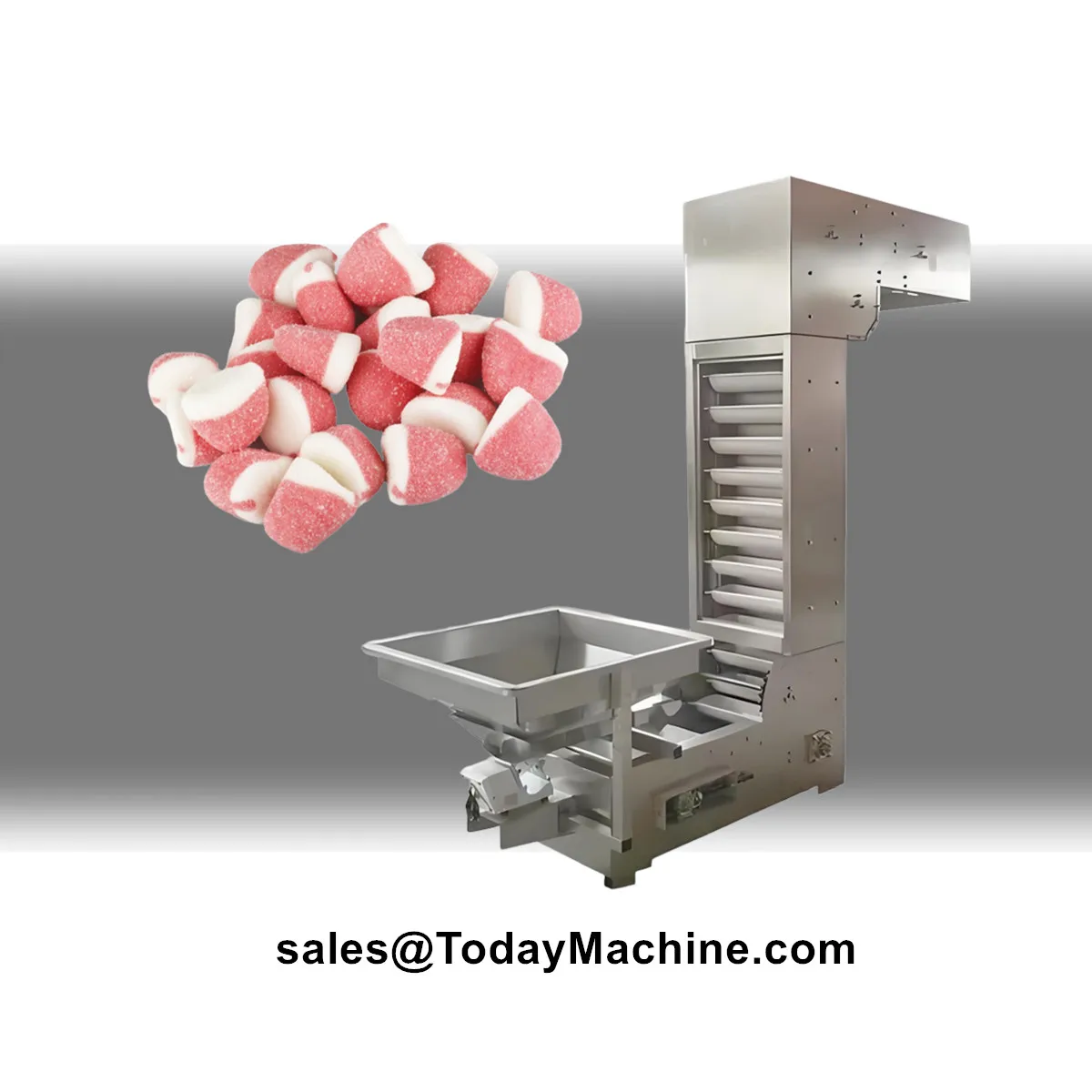 Trasportatore a vite per ascensore con benna verticale tipo Z per fagioli di cacao e arachidi