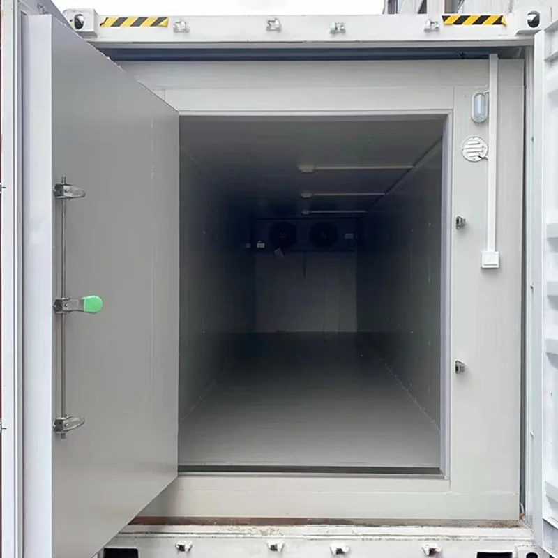 FOODLINE Solar Powered Refrigerated Container portable mobile design for seasonal crop solar cold preservation device