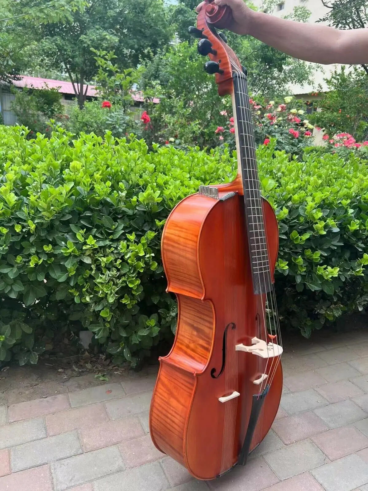 

Standard full-scale 6 strings Cello-Arpeggione with 24 sympathetic strings#15387