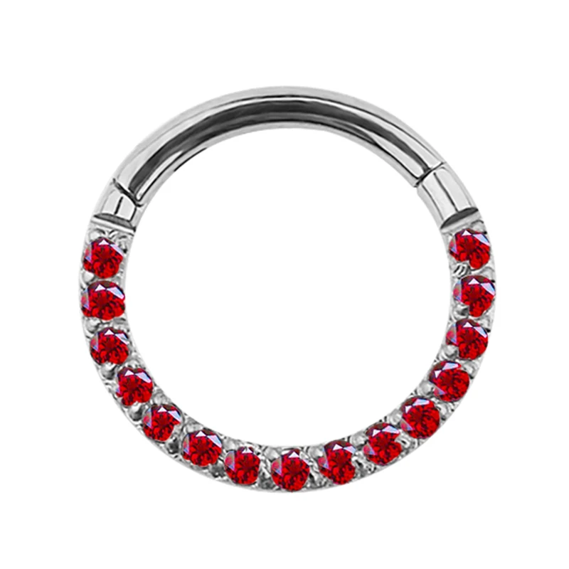 G23 Titanium Hinged Segment Hoop Nose Ring Earring