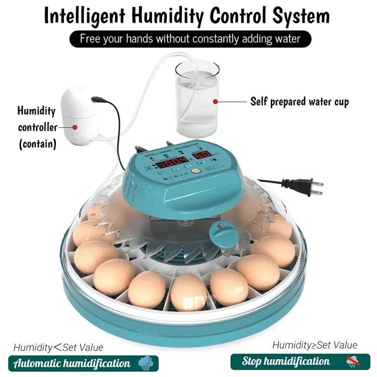 Newest Mini Incubator 30 Eggs Automatic Egg Incubator Dual Power