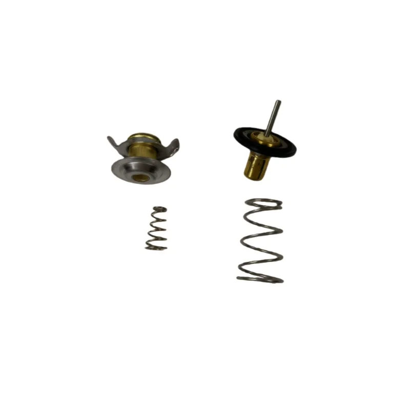 FOR LAND ROVER JAGUAR XF XKR XJ XJ8L DISCOVERY 3 RANGE ROVER SPORT Thermostat OEM LR005765 PCP500050 4362512 4624378 AJ811788