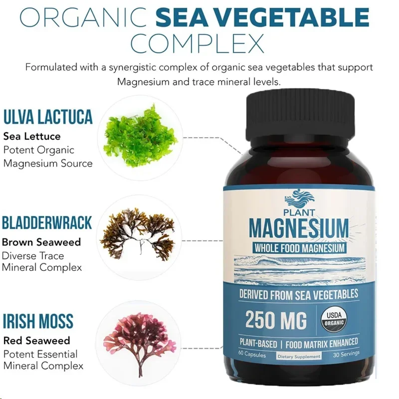 Organic Magnesium Plant Organic Marine Vegetable Complex -250mg Magnesium Mild for Stomach || Energy, Muscle, Heart -60 Capsules