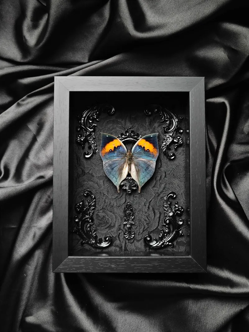 Real Butterfly Specimen Photo Frame Rare Ornament Couple Birthday Gift Finished Wings Decoration Sculpture Gothic Decor