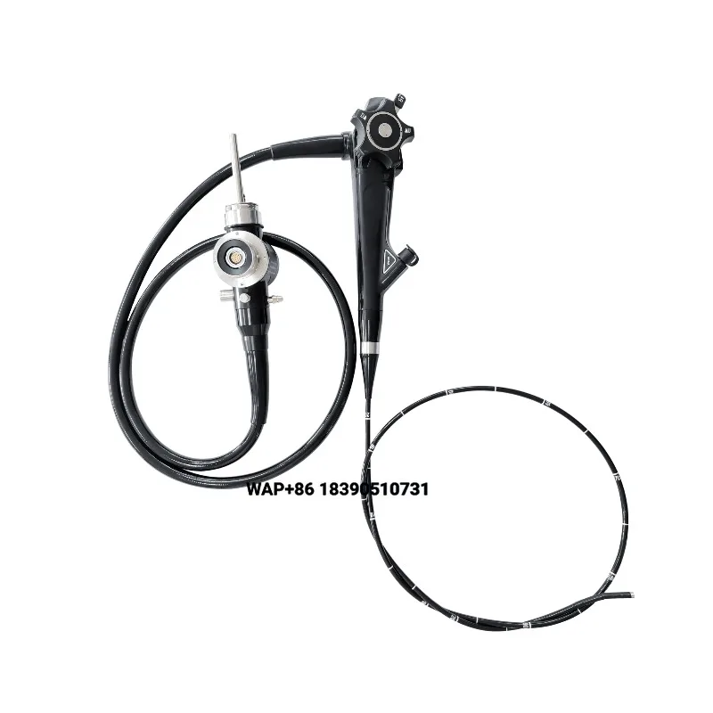Veterinary Equipment Portable Endoscopy Equipment Veterinary Gastroscopy Veterinary Endoscopy