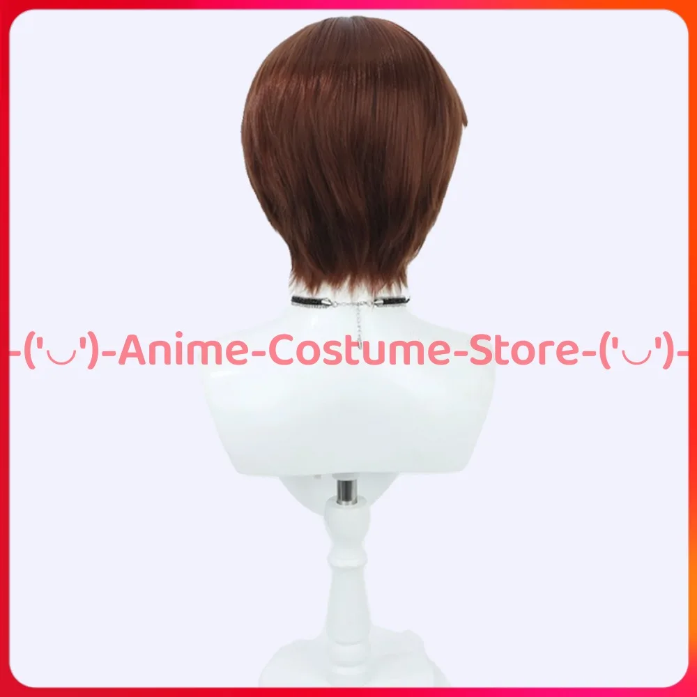 Delicious in Dungeon Chilchuck Tims Cosplay Wig Laios Party Anime Game Character Halloween Carnival Costume Wigs Synthetic Hair