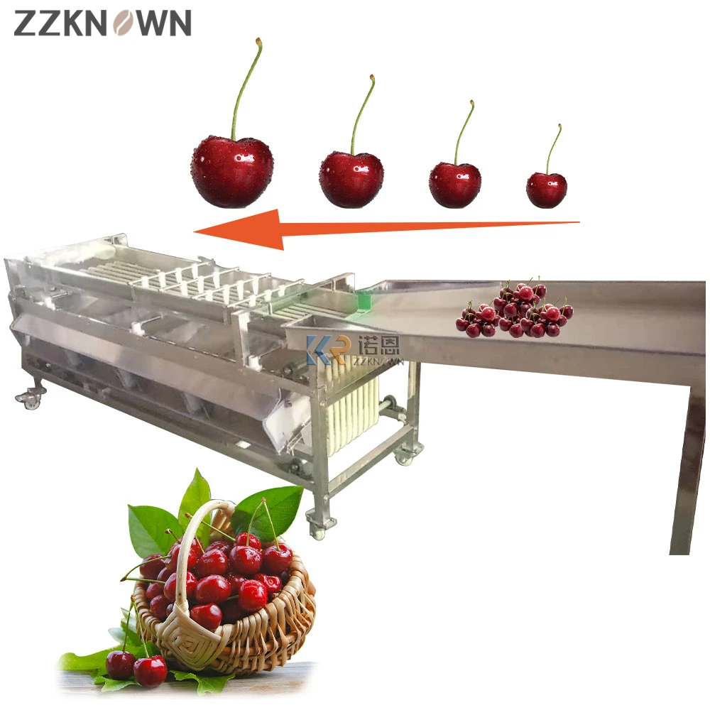 

Grain Cleaning And Grading Machines Commercial High Efficiency Fruit Sorting Machine With Automatic Fruit Supply