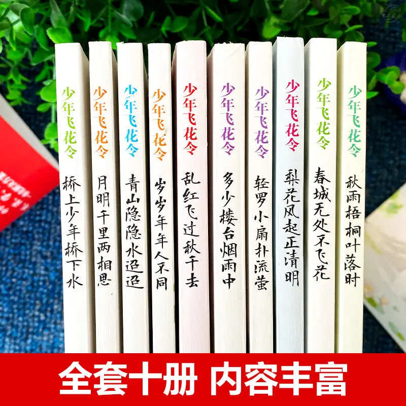 Feihua Lingli Membaca Satu Set Lengkap 10 Buku Puisi Kuno Tiongkok Apresiasi Membaca Ekstrakurikuler