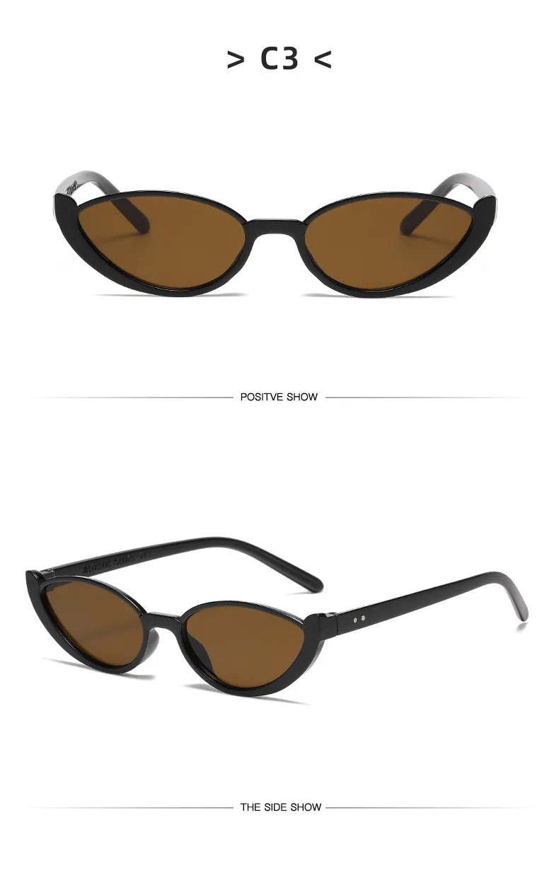 Vintage Dreieck Cat Eye Frauen Sonnenbrille Persönlichkeit PC Rahmen Harz Objektiv Reise Brillen Angeln Gläser Reiten Brille – Detail 9