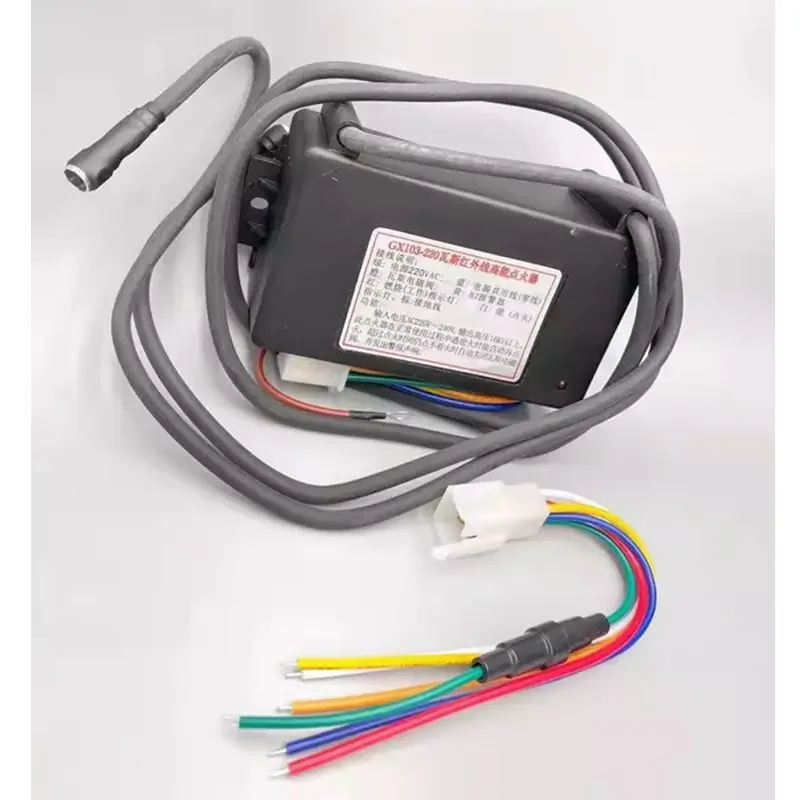 GX103-220 Natural Gas LPG Burner Stove Infrared Burner Ignition 220V Pulse Igniter Controller With Ignition Needle