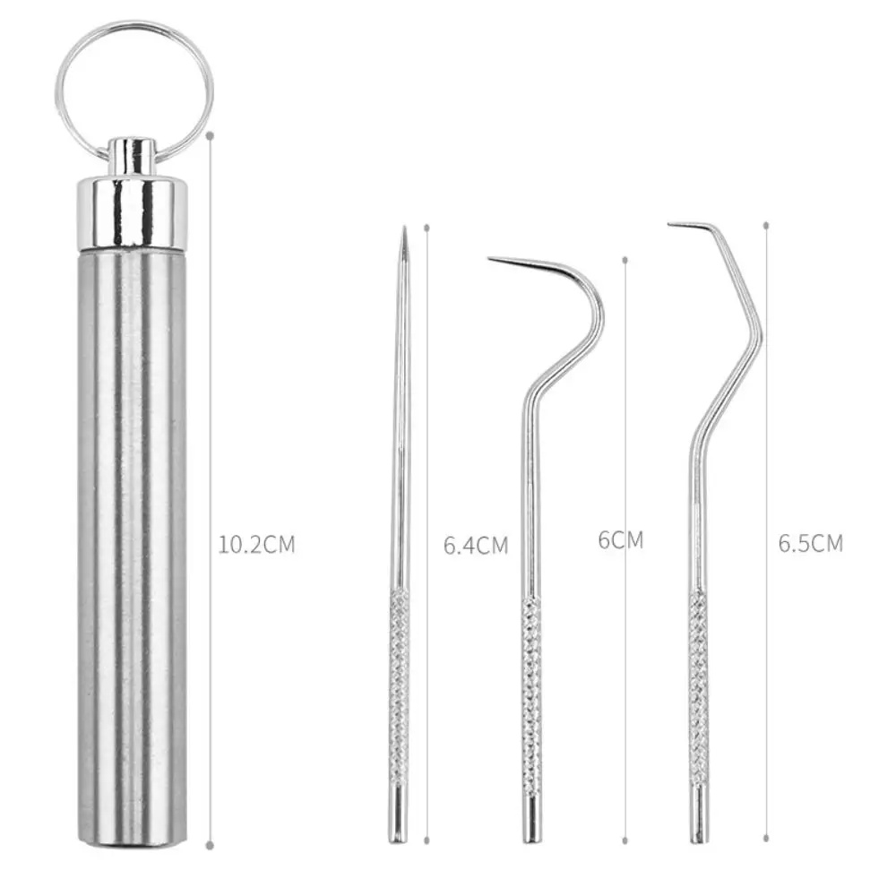 Aço Inoxidável Dente Pick Set, Chaveiro Titular, Dente Flosser, Bolso Toothpick, Dentes Limpador, Caixa De Armazenamento De Selo, Cuidado