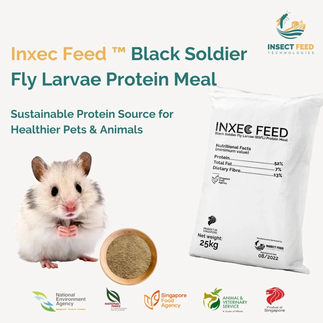 Healthy Food Supplement Protein Powder Black Soldier Fly Insect Meal (Milled Larvae) 500g for All Kinds of Animals