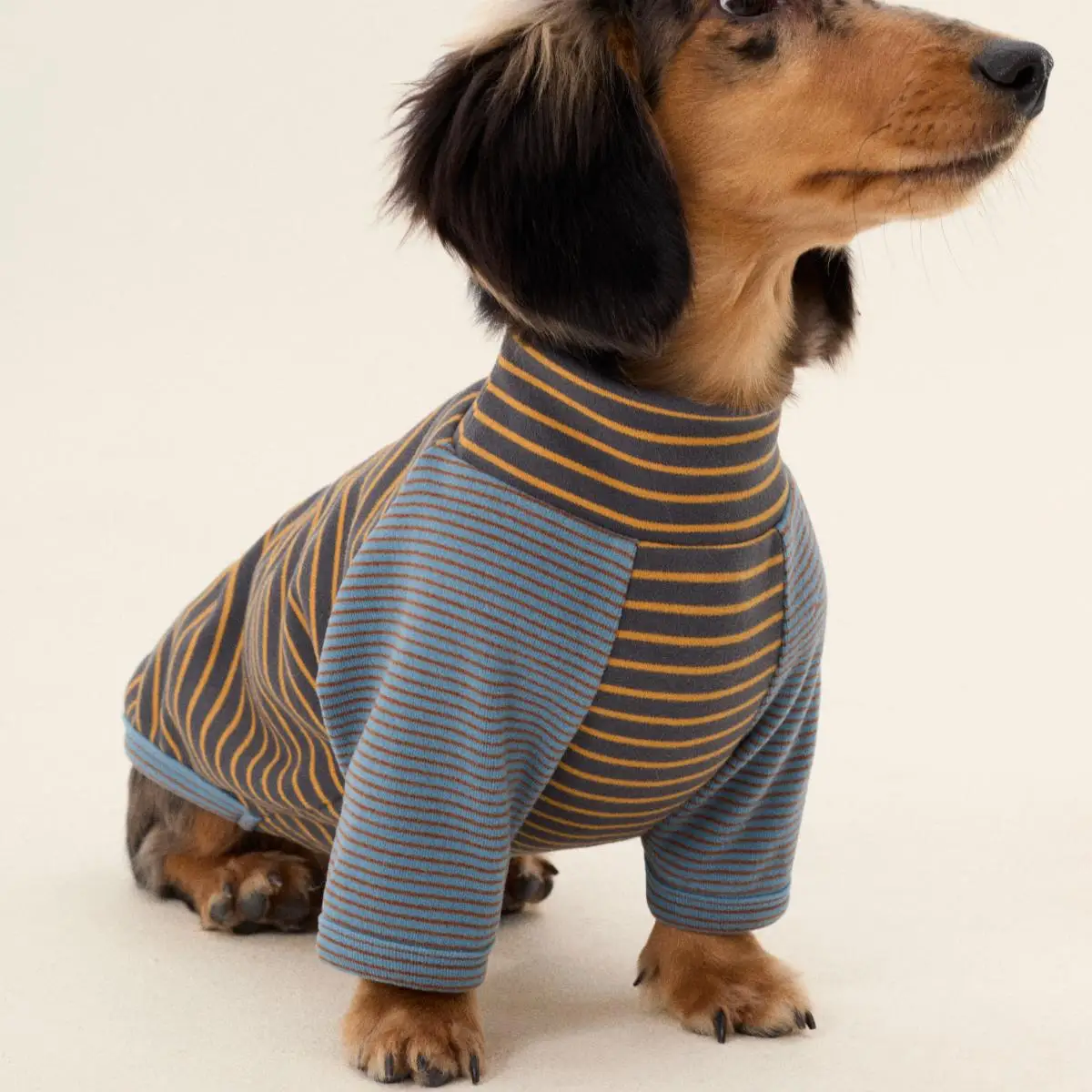 

Fashion Stripe 2-legged Dachshund Dog Clothes Warm Elastic Sweater for Wiener Dog Clothes Winter Spring Dog Costumes for Sausage