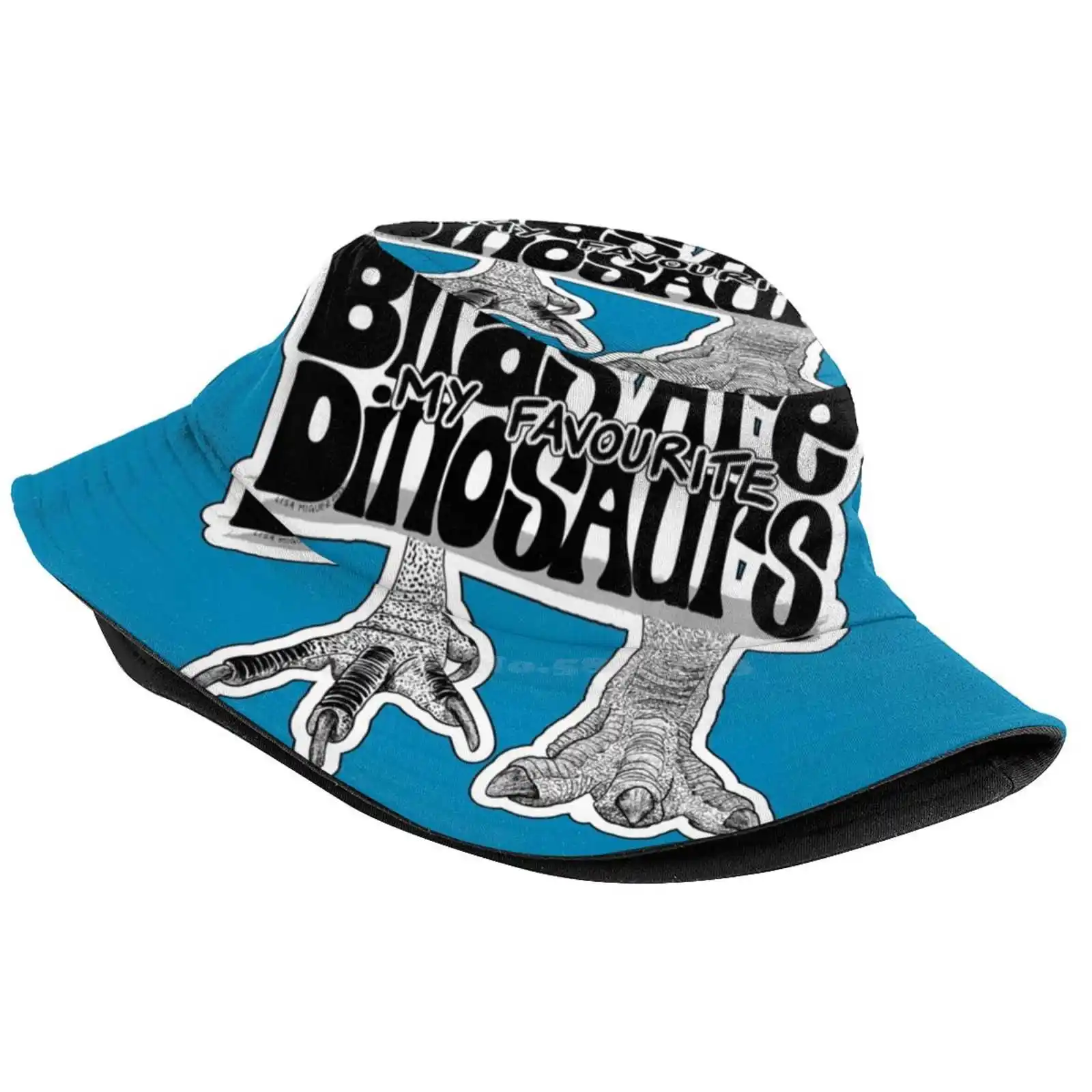 Birds Are My Favourite Dinosaurs | Feet First 2 Sun Cap Fisherman Hat Bucket Hats Birds Are My Favourite Dinosaurs Favorite