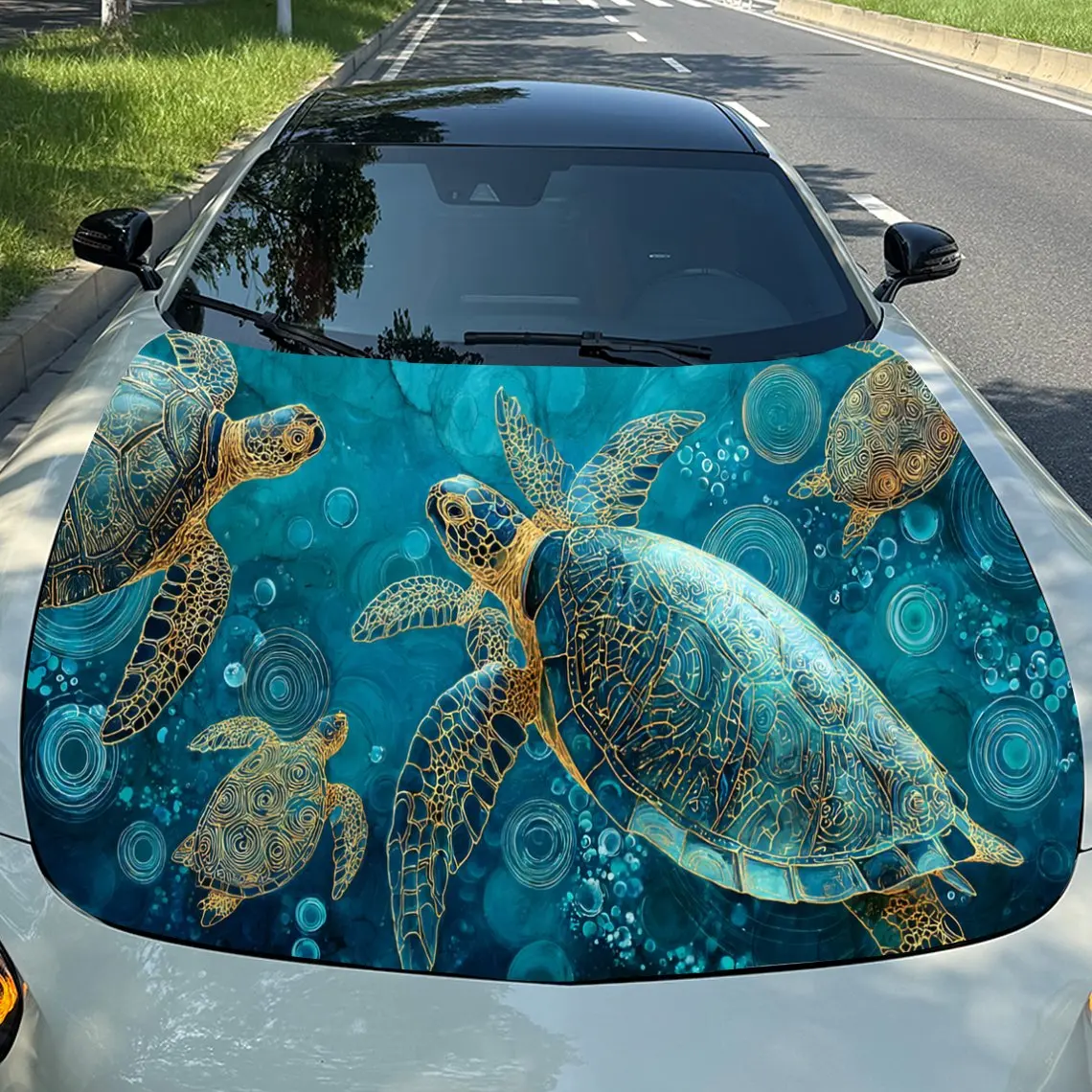 Charming Turtle Aut…