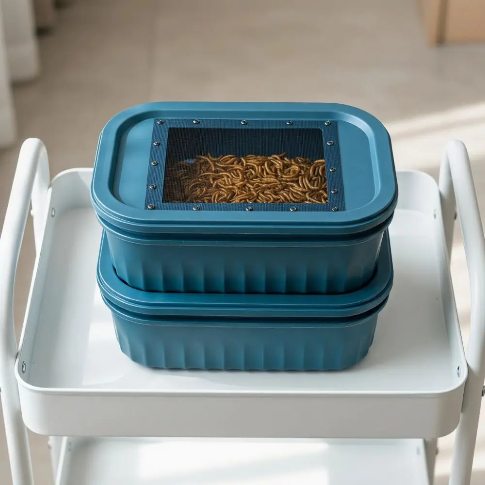 

2-Layer Design Mealworm Feeding Box Filter Screen Large Capacity Silkworm Feeder Bin Anti-escape Breathable