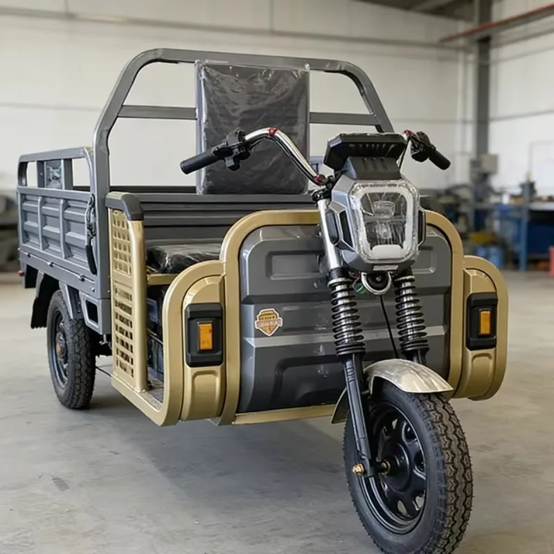 Motocicleta de Alta Capacidad, Scooter de Carrocería Abierta, Triciclo Eléctrico de 60v, Triciclo Eléctrico de Tres Ruedas, Triciclo de Carga
