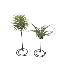 Supportive Easy to Install Outdoor Garden Air Plants Display Holder Ornament Home Decor