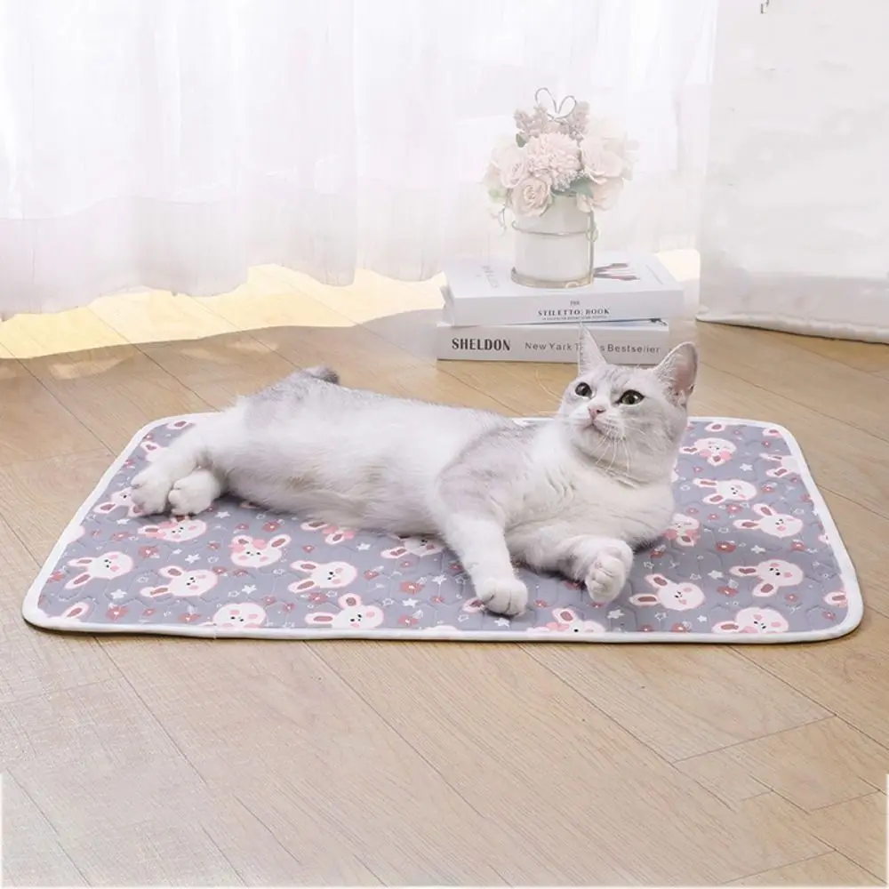 

Teddy Mattress Cartoon Dog Cooling Mat Latex Cotton Non-slip Pet Cool Mat Bed Soft Cats Sofa Mats Camping