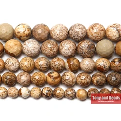 New Arrival Faceted Picture Jasper Beads 15