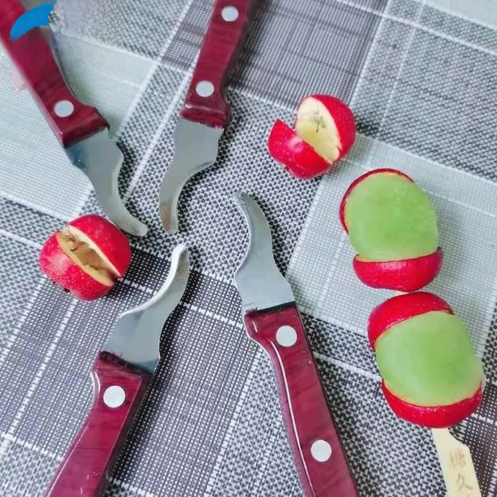 

Инструмент для удаления косточек из вишни и других фруктов из нержавеющей стали для кухни, для приготовления пищи и выпечки, для сахаристых фруктов и снеков