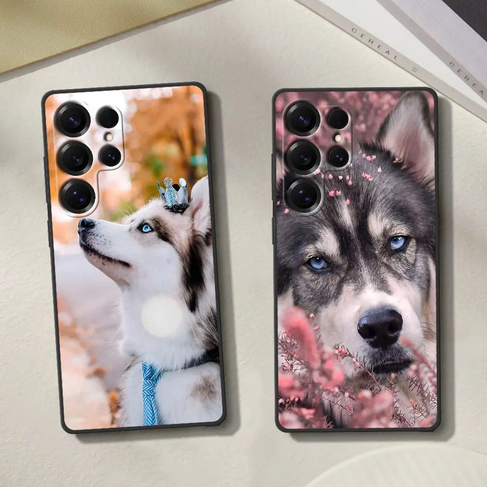 Custodia per cucciolo di animale Husky per Samsung Galaxy Note 20 Ultra 5G 10 Plus 9 Cover per telefono in TPU nero M12 J6 Plus J7 J8 J5 Prime