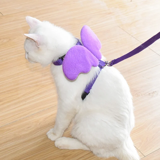 Zestaw uprzęży i smyczy dla zwierząt Angel Wings dla kotów Puppy Rabbit Cute Cat Harnesses Kitten Accessories artículos para mascotas Lead