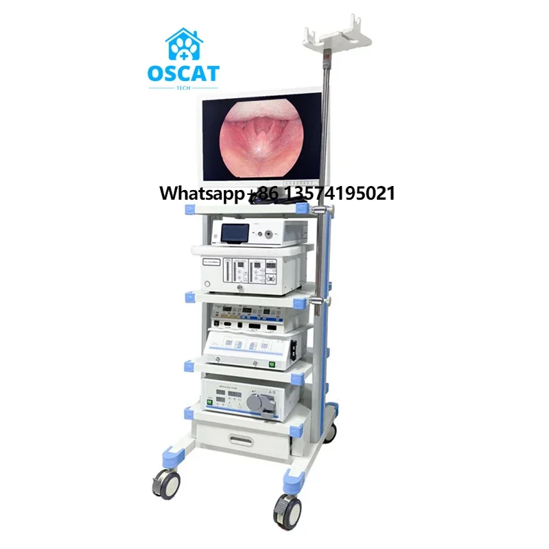 

OSCAT Veterinary Electric Flexible Gastroscope and Colonoscope in One Set with Video Endoscope System and LCD