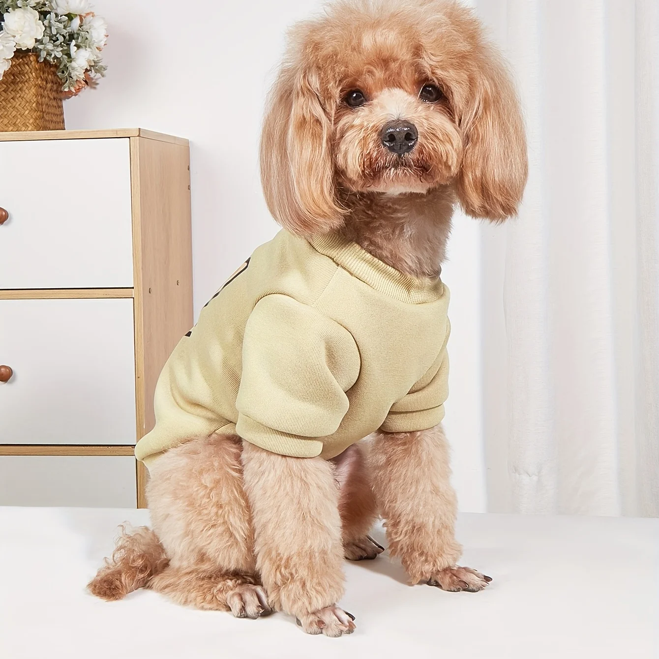 Pet clothes: dogs, cats, sweatshirts without hats, with velvet and warmth, have a good warmth effect, and the back has a printed