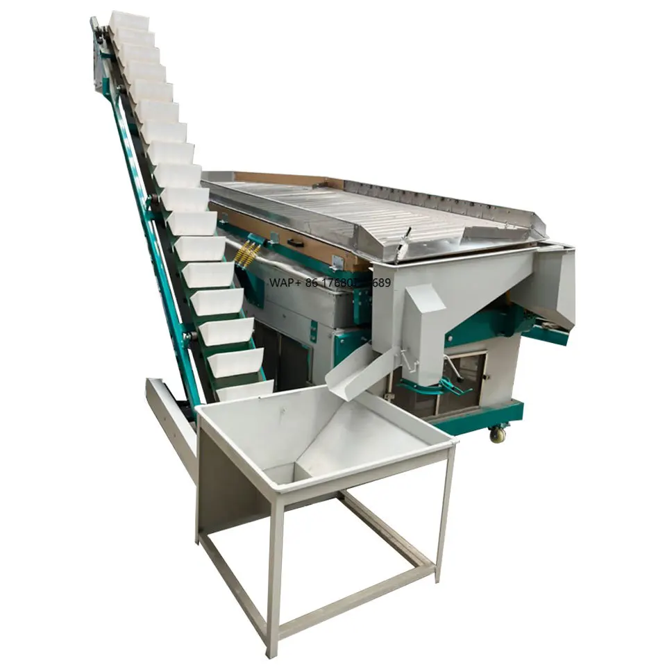 Mobile Cocoa Beans Processing Equipment Cacao Bean Processing Line Sesame Seed Washing Machine