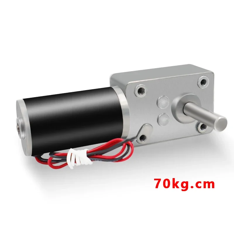 5840-31ZY Worm Gear Motor DC 12 24V High Torque 51MM D-Shaft High Power Reversed Low Speed 70kg.cm Worm Gearmotor