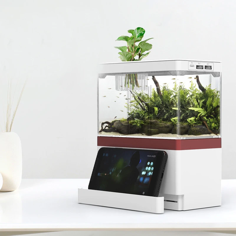 Mini Desktop Fish Tank Transparent USB/Battery Powered Aquarium with LED Light