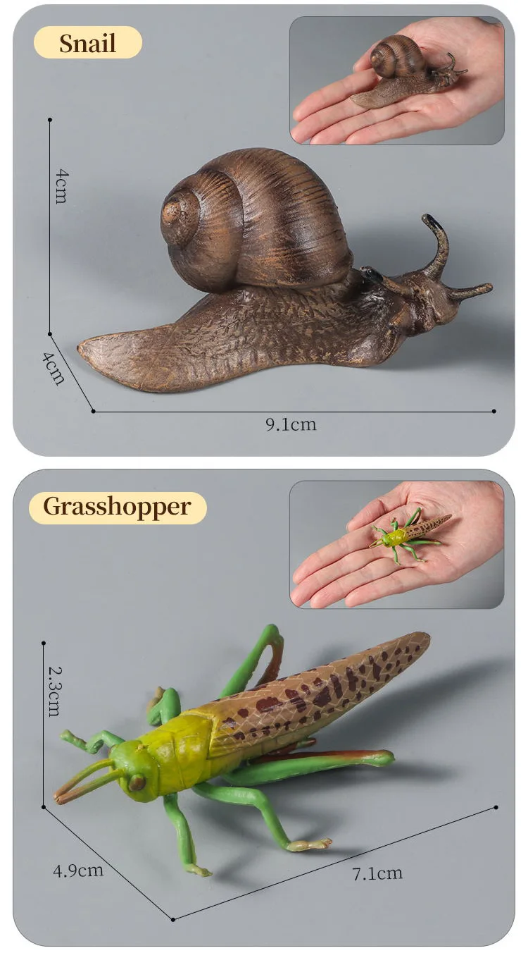 Pädagogisches Insekten-Tiere-Modell-Spielzeug-Set mit Schmetterling, Biene, Libelle, Mantis, Ameise, Schnecke, Actionfiguren für Kinder, Sammlung, Dekoration – Detail 15